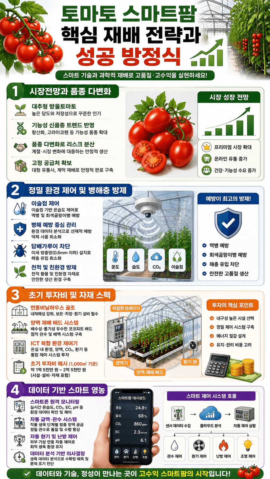 성공적인 토마토 재배를 위한 인포그래픽