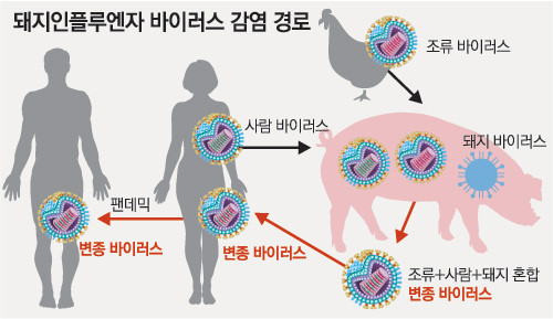 신종 인플루엔자