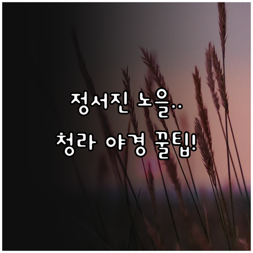 인천 서구 겨울 여행 명소 추천 정서..