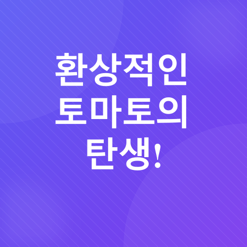 방울토마토 키우기_3