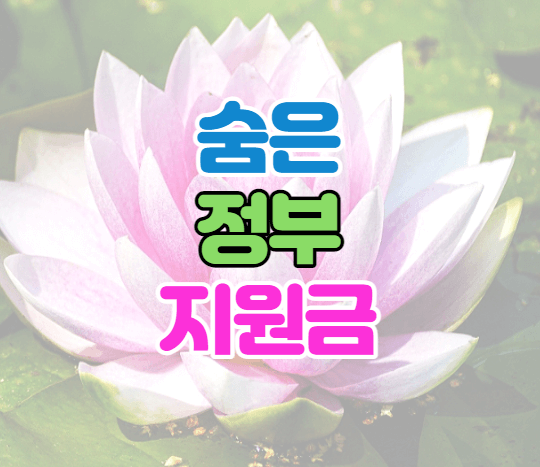 숨은-정부지원금-이미지