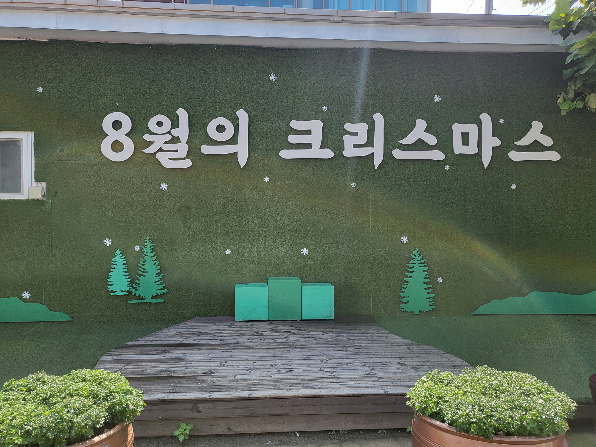 초원사진관 - 벽면스팟