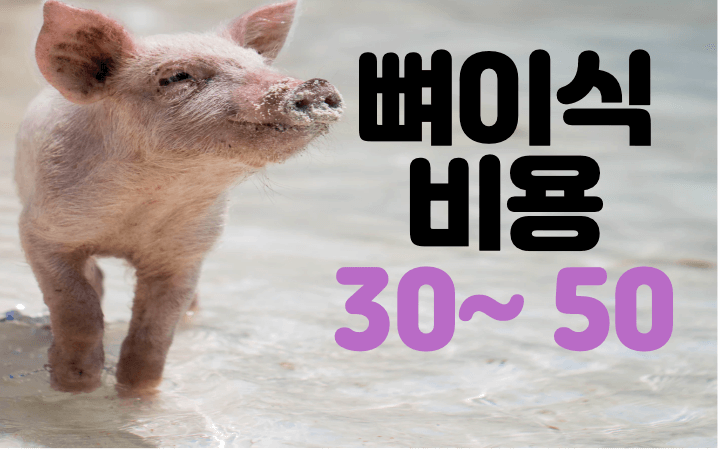 돈