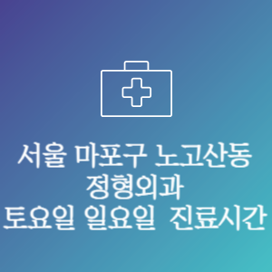 서울 마포구 노고산동 주말 토요일 일요일 문여는 병원 진료시간