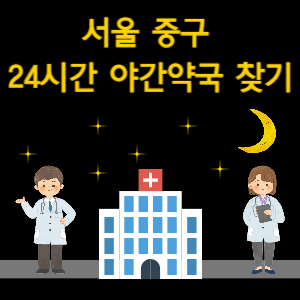 서울 중구 24시간 야간 심야 당번 약국 찾기