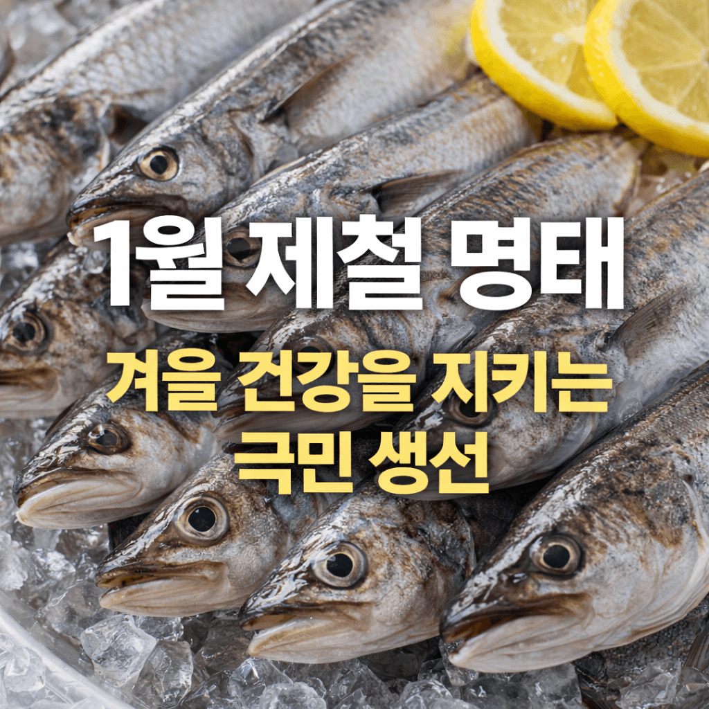 1월 제철 명태, 왜 이때 먹어야 할까? 썸네일 이미지