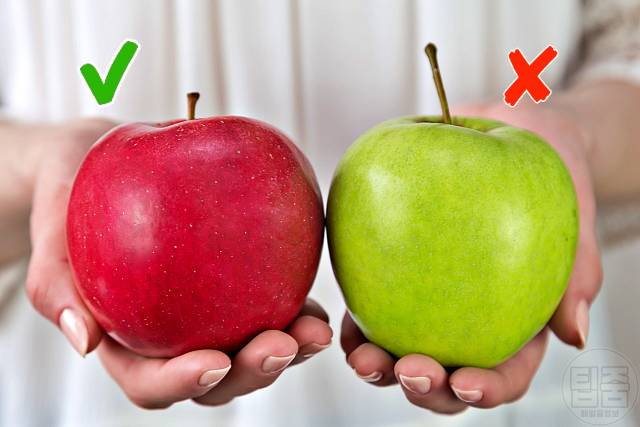 치매에 좋은 음식 치매예방음식 플라바놀 함량 높은 사과