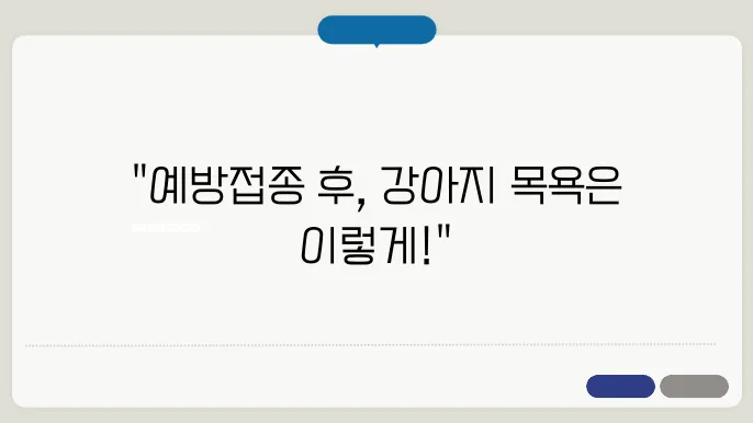 강아지 예방접종후 목욕