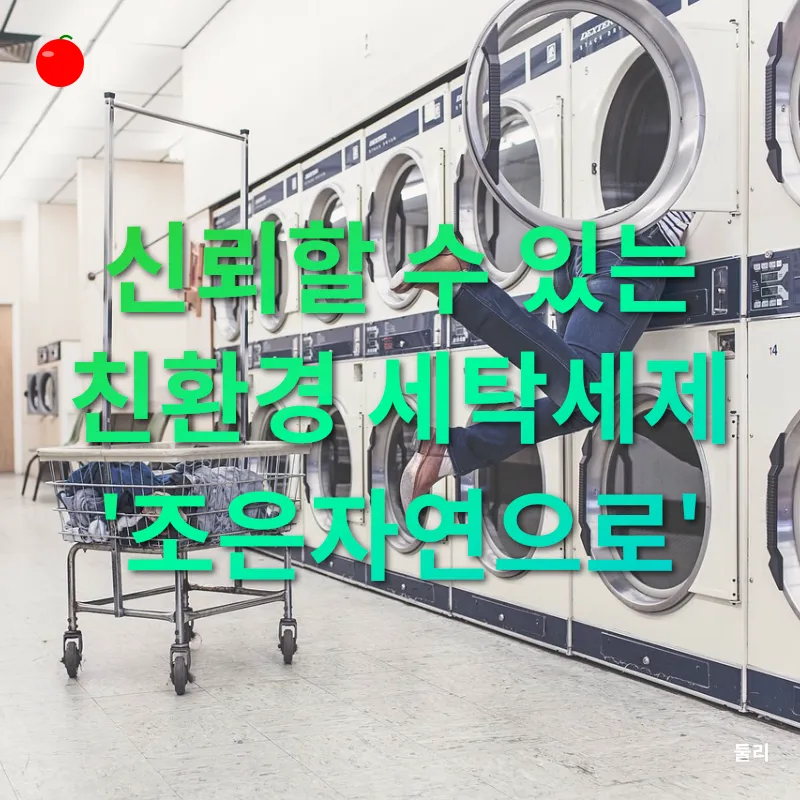 친환경 세탁세제_2_subsection