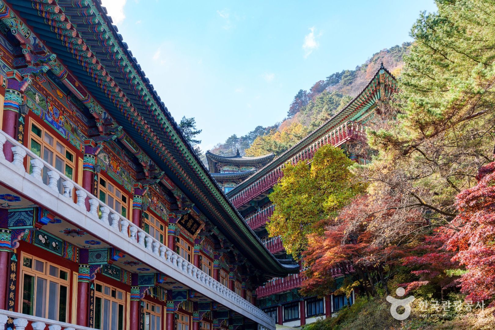 단양 구인사