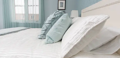 집먼지진드기 강력한 제거법