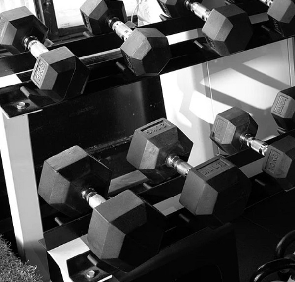 근육 운동 효과를 높이는 보조 식품, 단백질 대용 식품