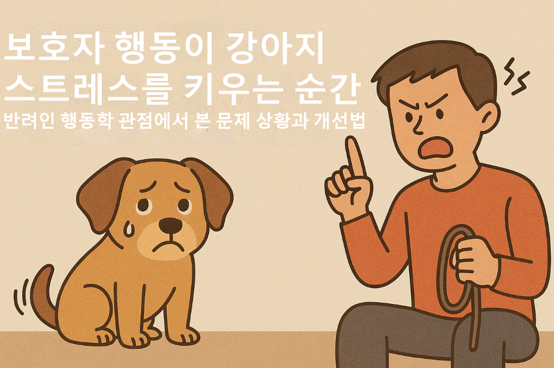 보호자 행동이 강아지 스트레스를 키우는 순간 / 행동학으로 보는 ‘숨은 스트레스 신호