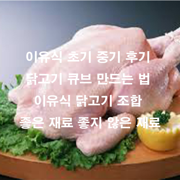 이유식 초기 중기 후기 닭고기 큐브 만드는 법 이유식 닭고기 조합 좋은 재료 좋지 않은 재료