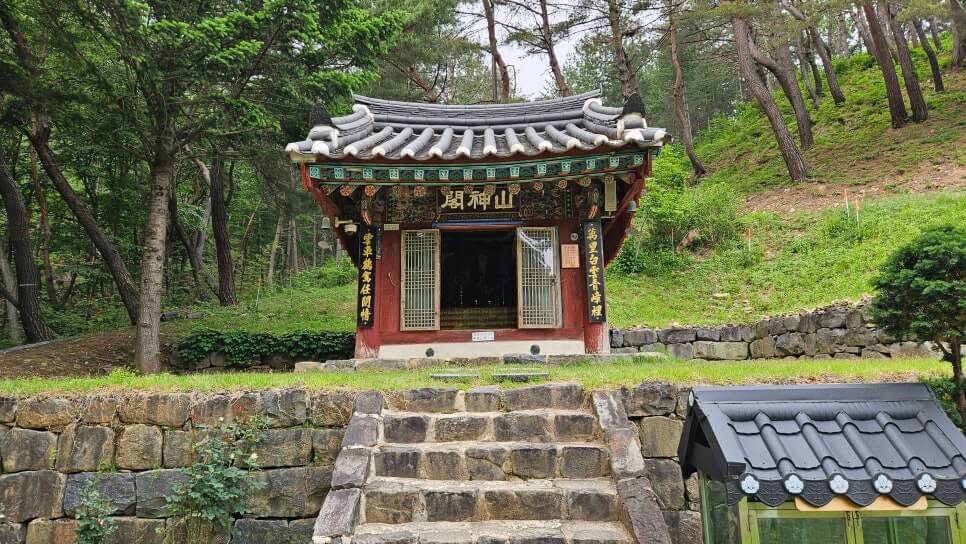 금산 보석사 : 1,100년 은행나무와 전나무 숲길이 주는 위로