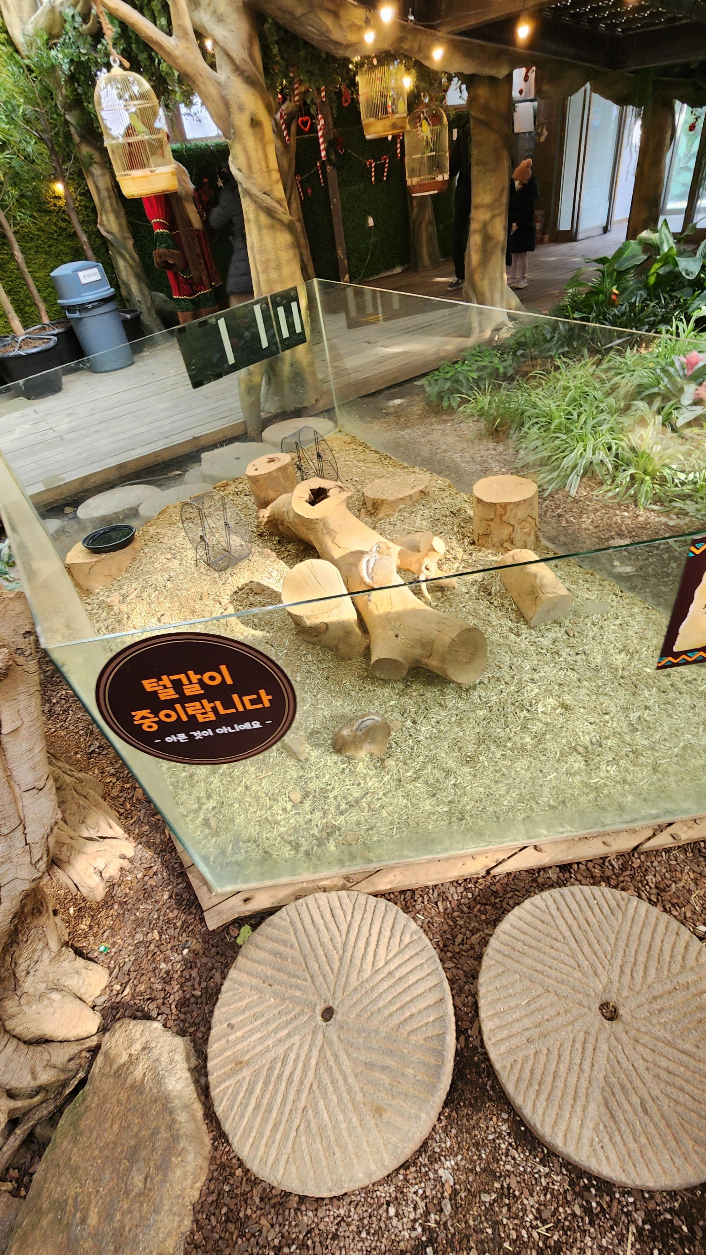 대구-네이처파크