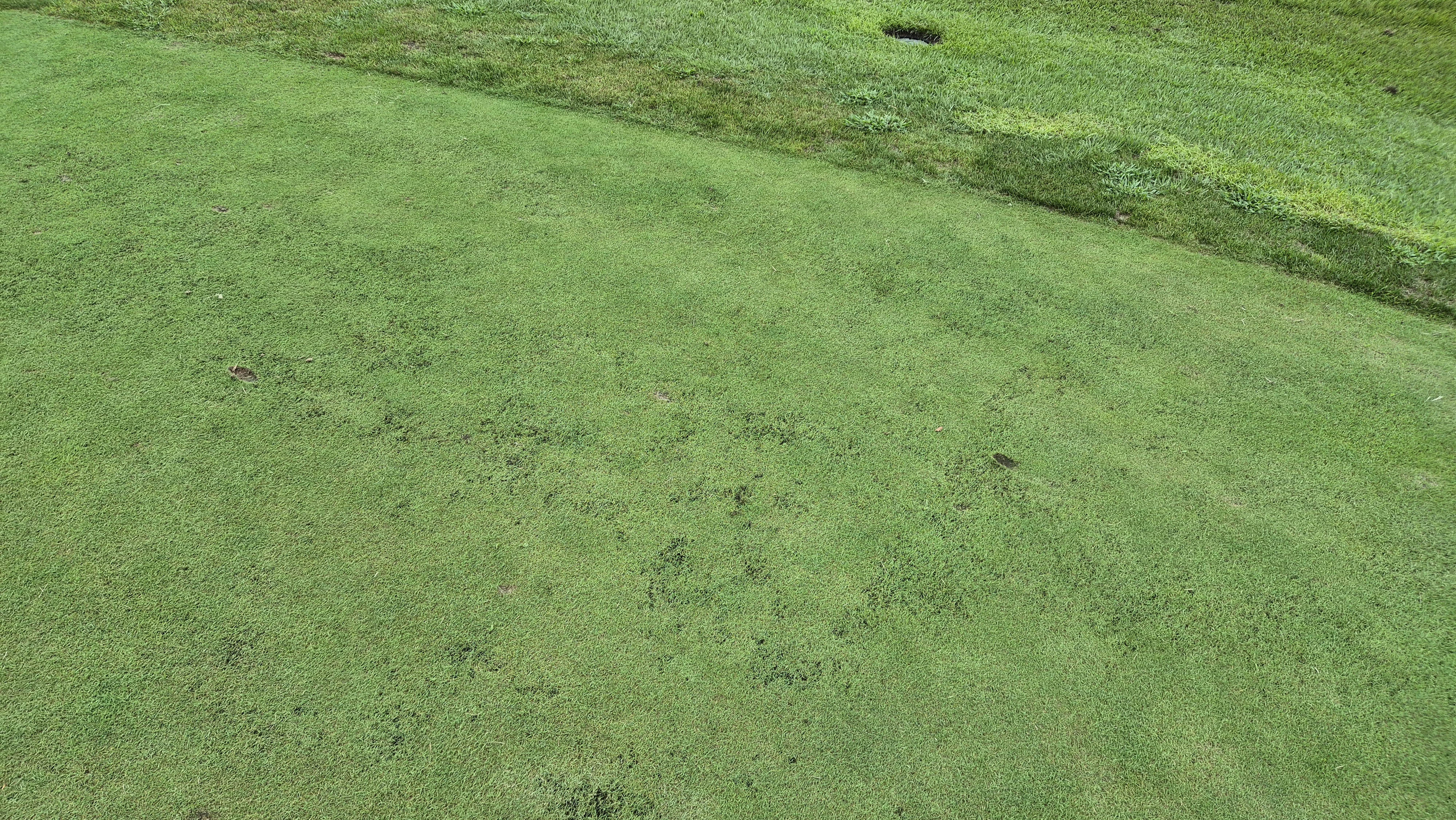 한림용인cc 다이아몬드-사파이어 코스 라운드 후기