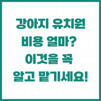 강아지-유치원-비용