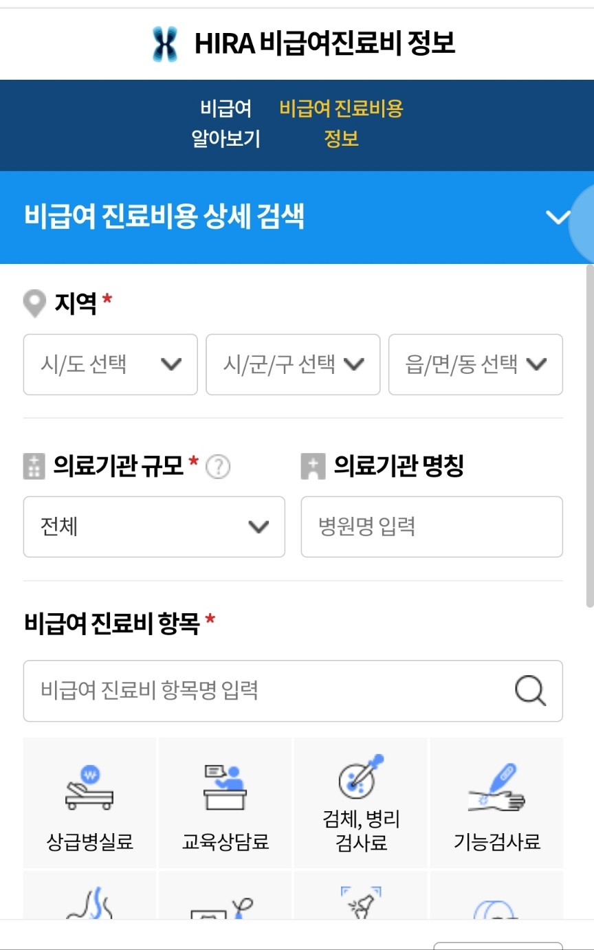 건강e음 비급여 진료비 정보