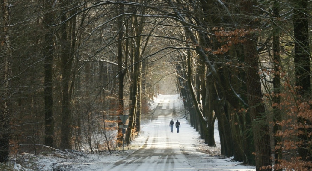 자립생활: 혼자 사는 법과 재혼 후 일상의 차이