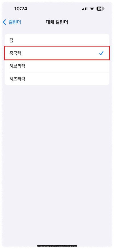 대체캘린더 중국력