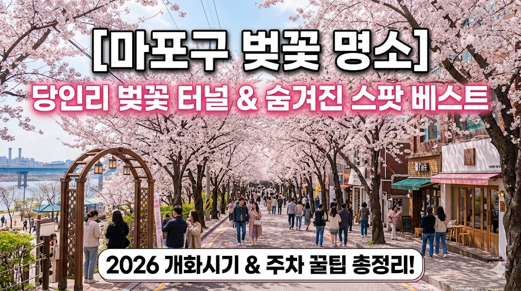 마포구 벚꽃 명소