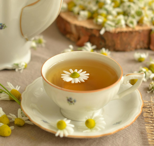 수분 섭취 루틴의 진실