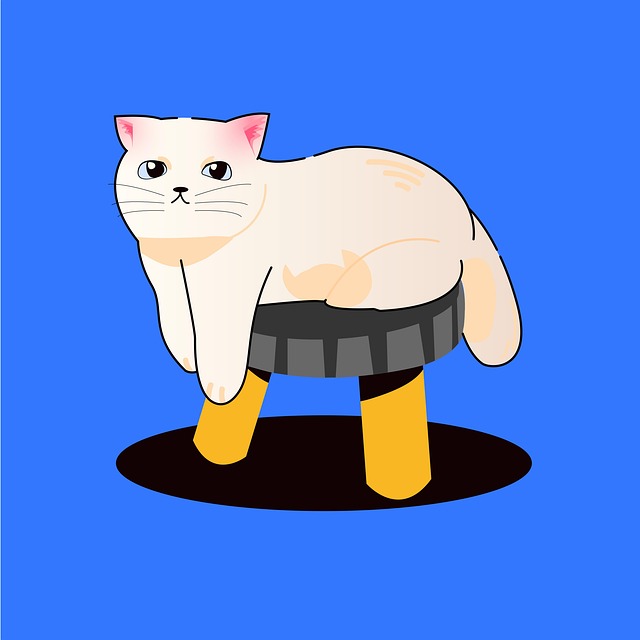 운전면허증 갱신 경찰서 찾는법