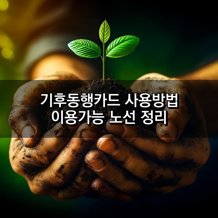 기후동행카드 사용방법 및 이용가능 노선 정리