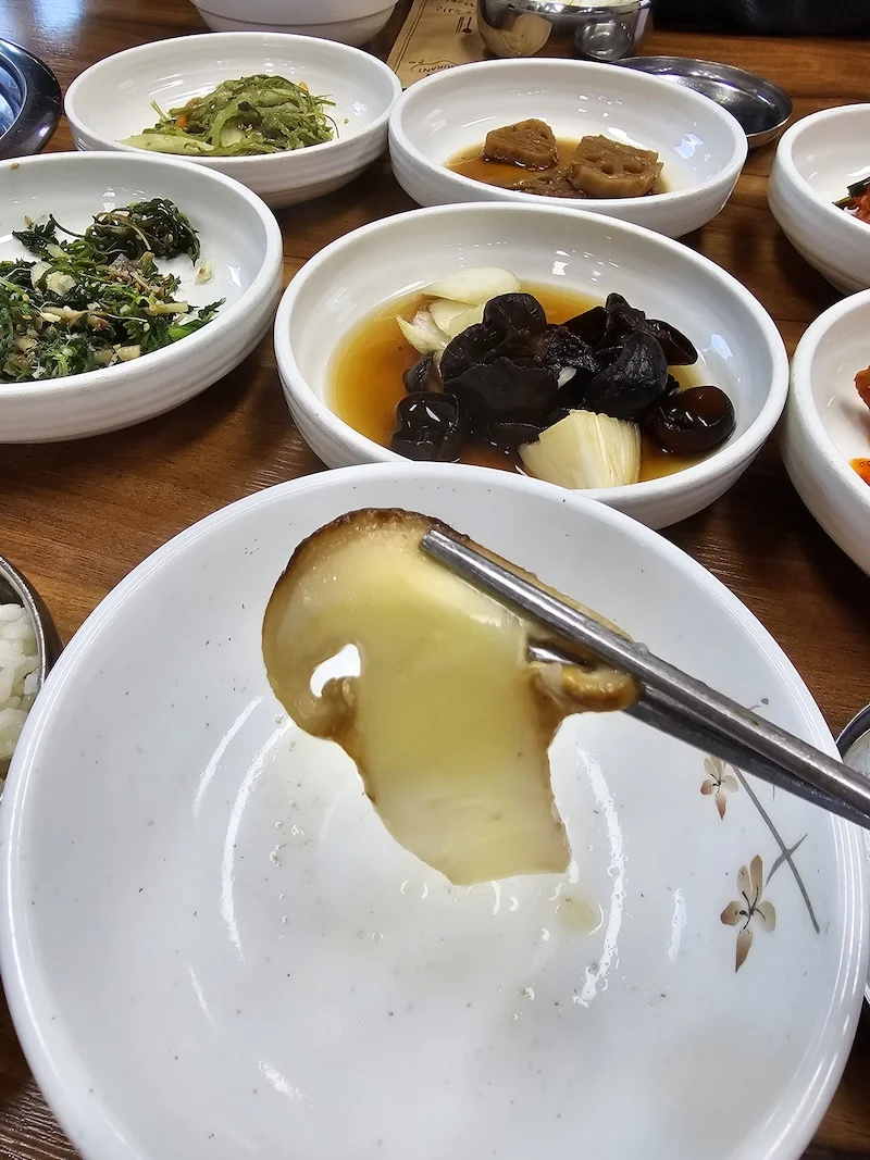 청송 소노벨 맛집 송이전골 송이가든 맛집 추천 청송 여행 맛집