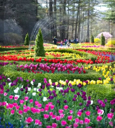 아침고요수목원_9