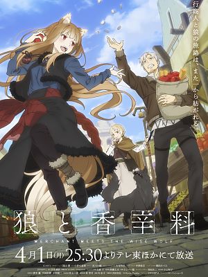 나 혼자만 레벨업 같은 애니 - 비슷한 장르의 애니 추천 늑대와 향신료