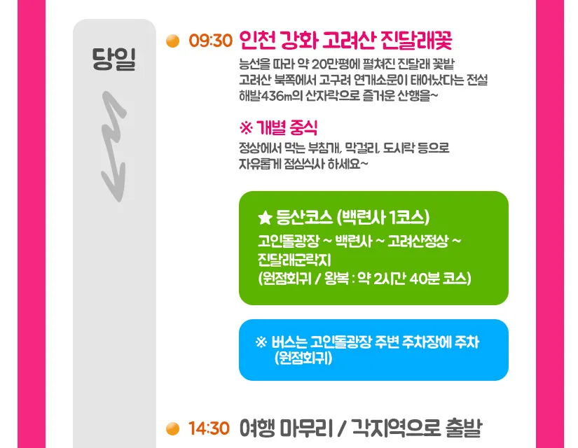 인천 강화도 고려산 파랑새투어 버스 투어
