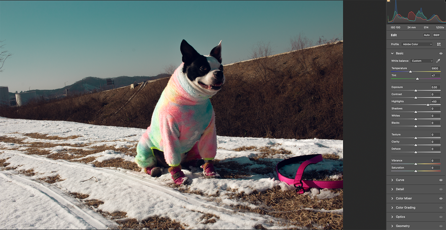 RAW파일 하이라이트