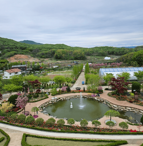 용인 자작나무숲