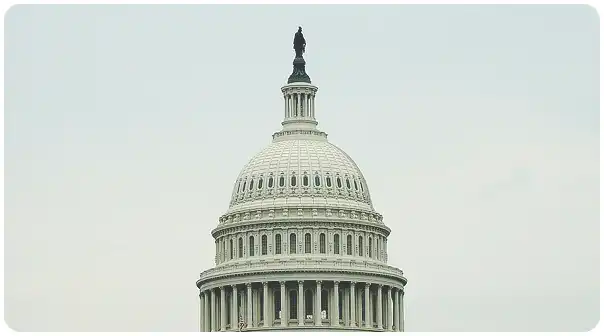 2024 미국 대선 지지율&amp;#44; 실시간 개표현황 (결과 발표 일정은?)