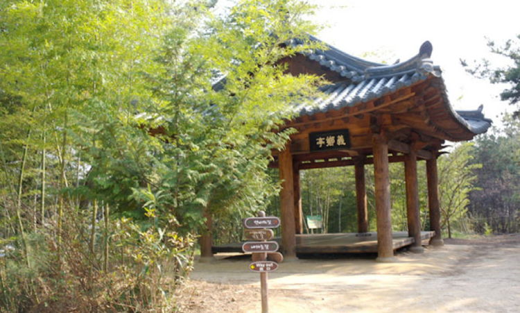 담양 죽녹원