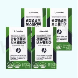 프롬바이오 관절 연골 엔 보스웰리아 2개월(4박스) 120정, 30정, 4box