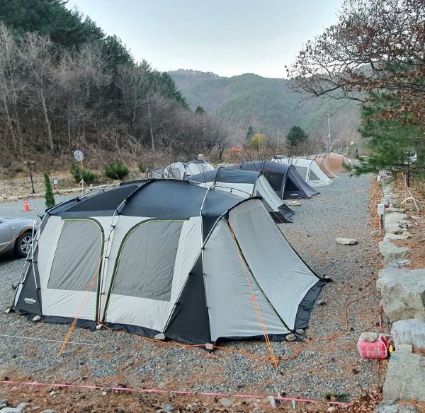 279캠핑장_사이트배경