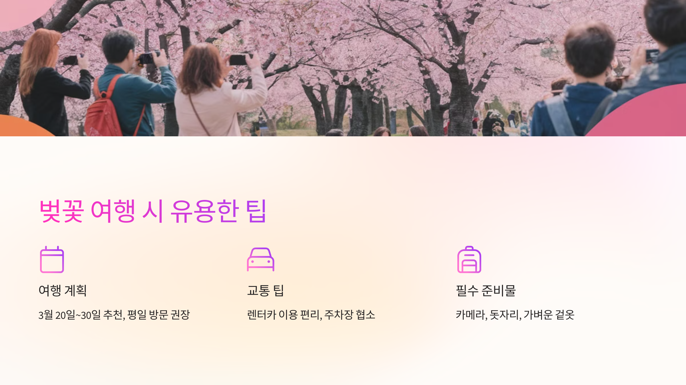 💡 벚꽃 여행 시 유용한 팁