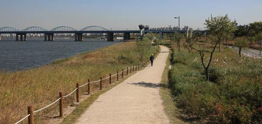 반려견과 함께 떠나는 서울 가을산책 단풍명소 추천 : 북서울꿈의숲·서울숲·반포한강공원