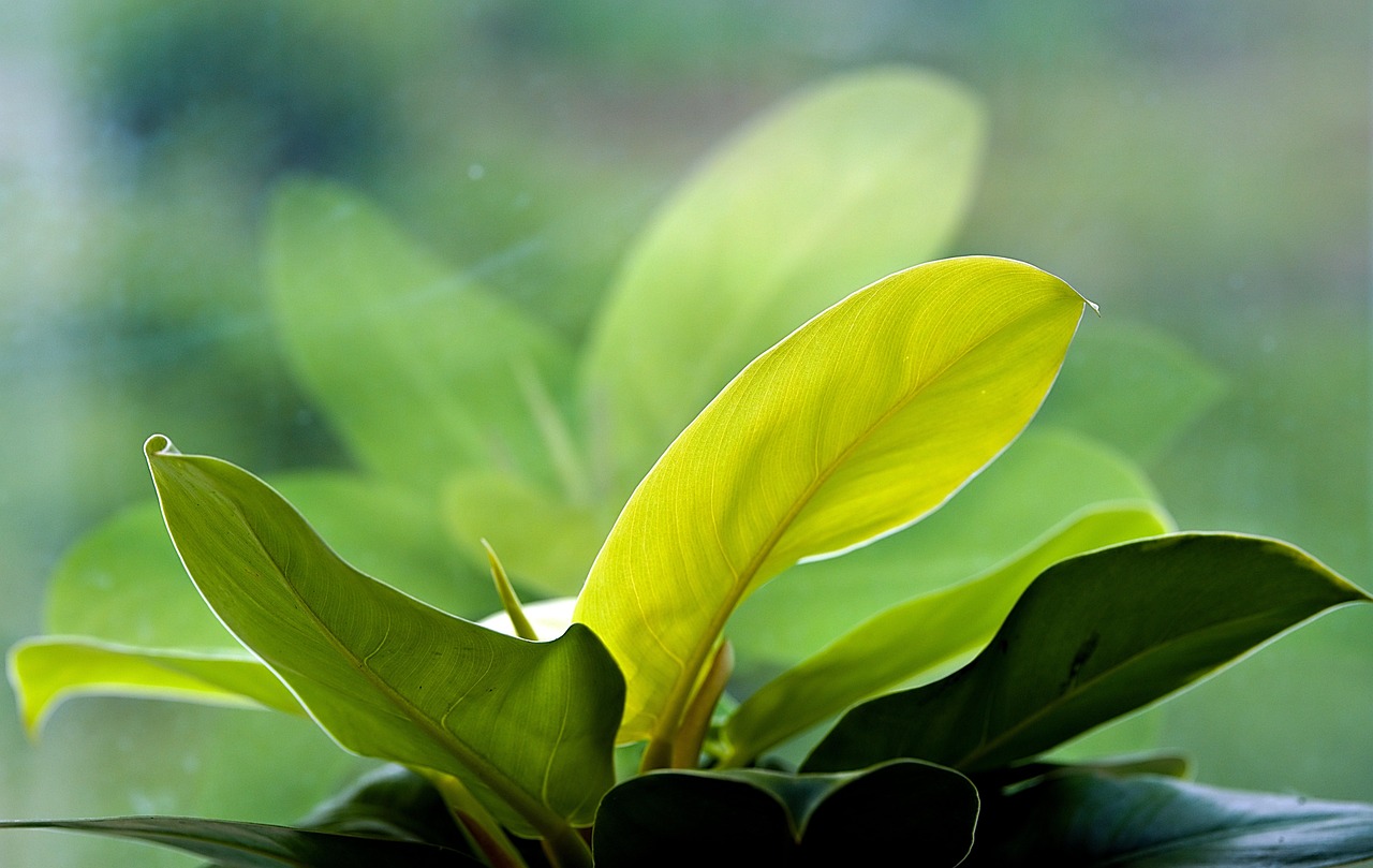 베란다 정리정돈 팁 ❘ 작은 공간에서 행복을 피우는 10가지 따뜻한 정리 아이디어