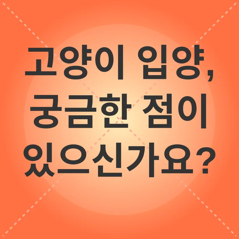 고양이 입양_4