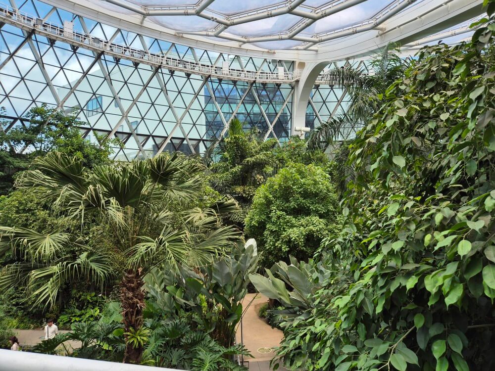 스카이워크 뷰 3