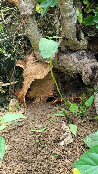 최문보 교수 1호 제자 김재희 연구원