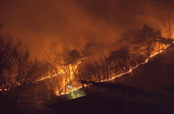 의성-산불-피해