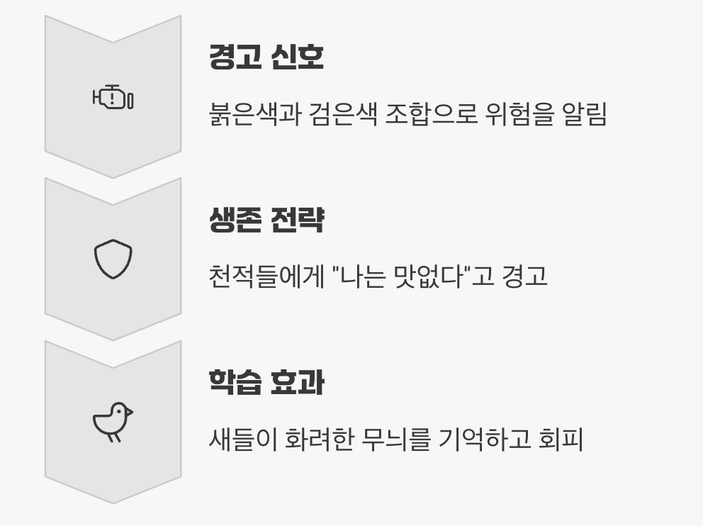 진실 3: 화려한 옷은 '경고'의 메시지