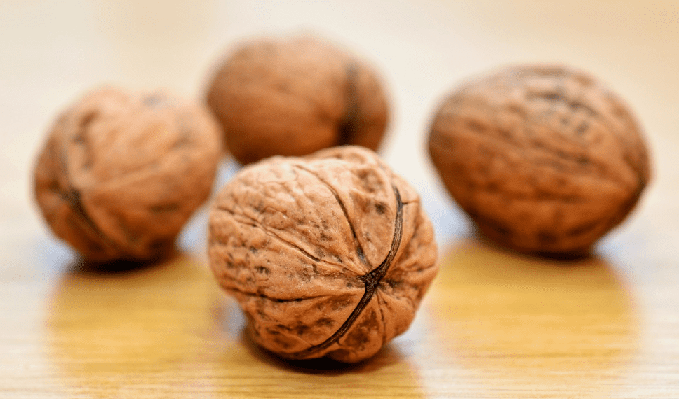 변비에 좋은 호두