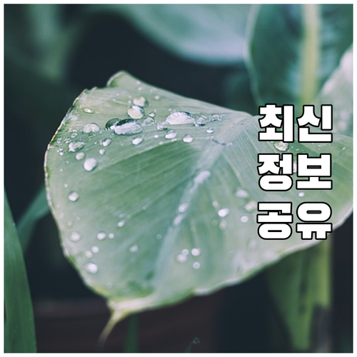 전기차 vs 수소차: 미래 자동차 연