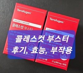 콜레스컷 부스터